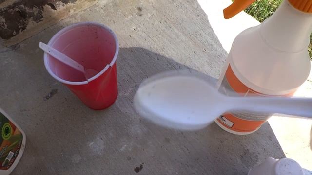 How to Treat Mites on Pepper Plants With Neem Oil смотреть онлайн