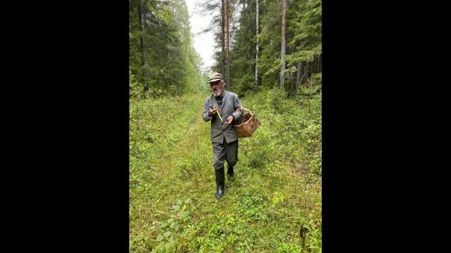Зинковка Костромская область.