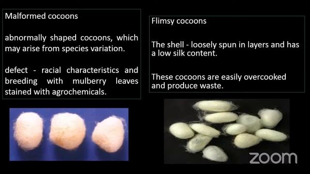 Sericulture-1