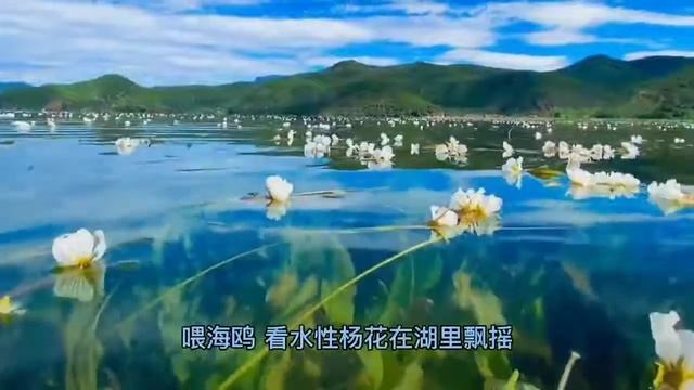 泸沽湖景色只有纳木错可以媲美