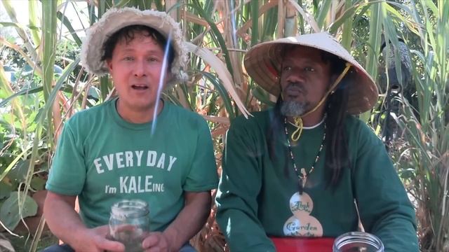 How to Grow + Juice Tropical Sugar Cane in the Non-Tropical Desert