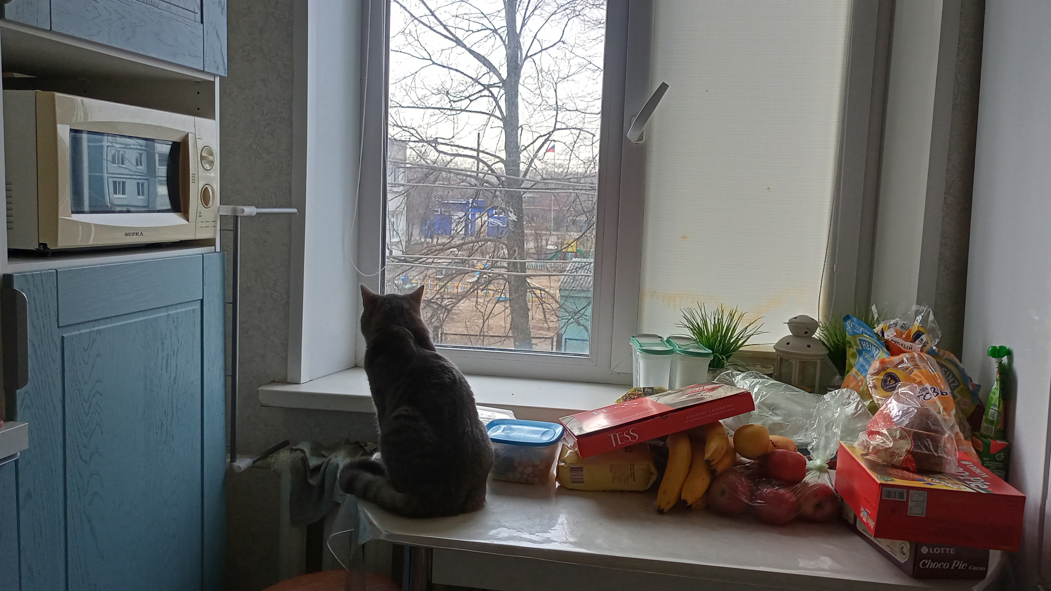 хорошо в деревне