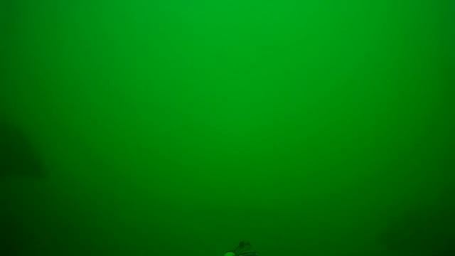 Момент подводной охоты на Капчагае. смотреть онлайн