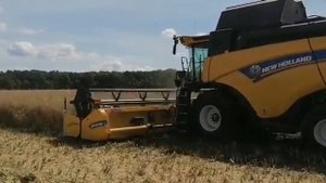 Уборка рапса, жатки для рапса   Zurn для New Holland