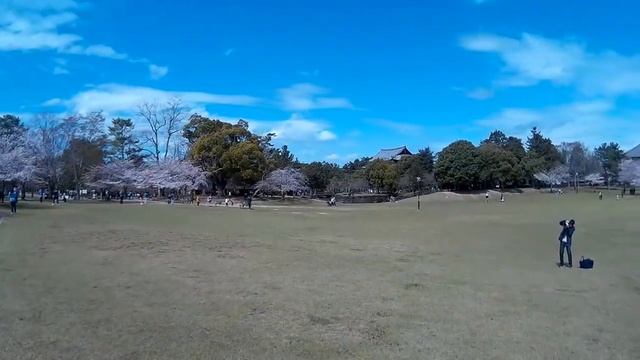 Япония Осака Нара 2 смотреть онлайн