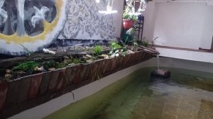 Подогрев воды для рыбок на крыше