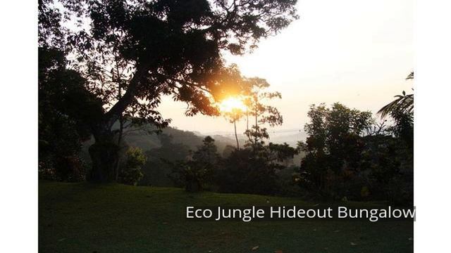 Eco Jungle Hideout Bungalow смотреть онлайн