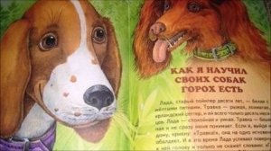 Собаки вывели меня в люди