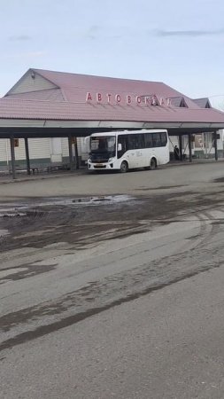 новые автобусы 12,13 маршрут.