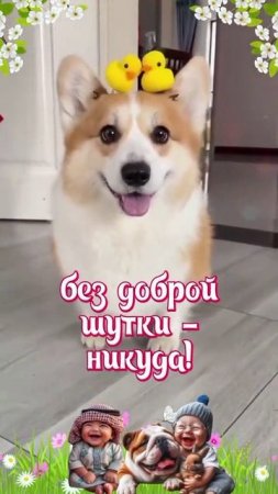 С днём смеха!!! Часть 2