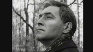 Лучшие анекдоты про Штирлица