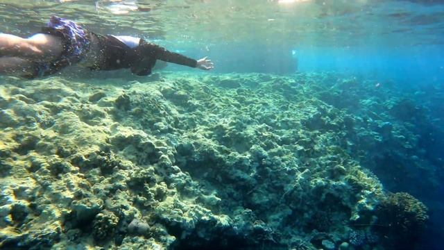 Fishing at Red Sea / Yanbu Cement Beach #markkidlat смотреть онлайн