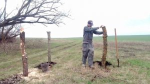 Школьные каникулы не только для отдыха , но и для совместного труда.