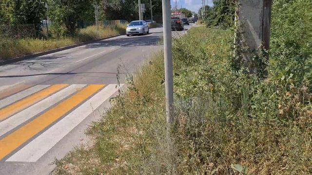 для кого пешеходный переход в Волгограде ? смотреть онлайн