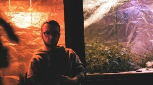 ВЗРЫВ МОЗГА / НОВОЕ ПРОИЗВОДСТВО / ВЕРТИКАЛЬНЫЕ ФЕРМЫ / #АЭРОПОНИКА / #REOGEN / #РАЗРАБОТКИ