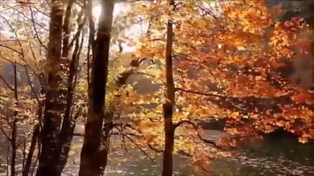 Resul dindar hosgeldin смотреть онлайн