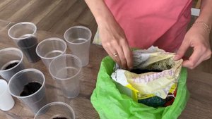 СЕЮ ОГУРЦЫ// ХОДИЛИ В ПОЛИКЛИННИКУ// ВРЕДНЫЕ ПОКУПКИ// ОЧЕНЬ ВКУСНАЯ МОЙВА