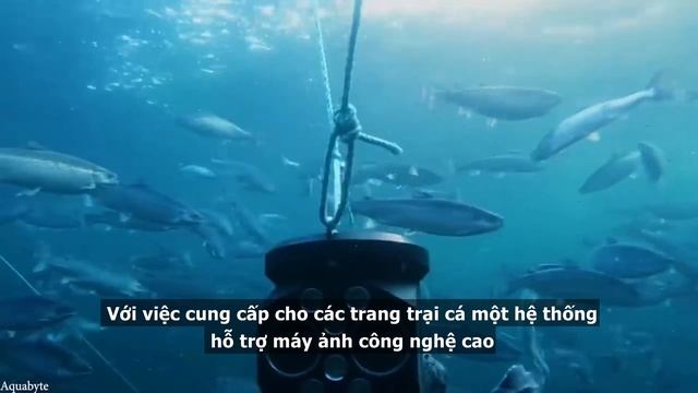 [15 Modern Farming Technologies] AQUABYTE: CAMERA, COMPUTER VISION AND BIG DATA in FISH FARM