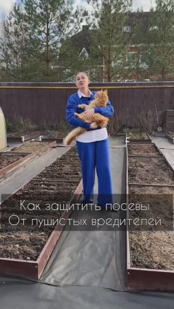 Лайфхак,  как защитить посевы от пушистых вредителей.