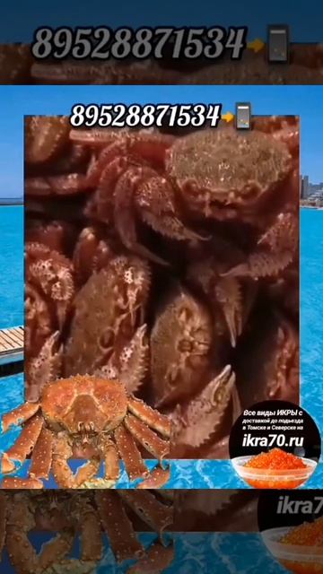 Морепродукты🦀🦪🦐🍤🐟в Томске! 💒! Северске🏭? ikra70.ru. 89528871534