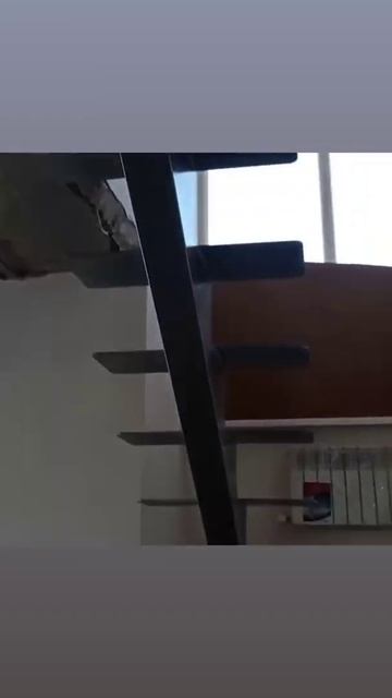 лестница на центральном косоуре вид снизу смотреть онлайн