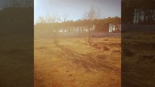 Купить землю в Севастополе 12 соток. смотреть онлайн