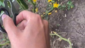 УБОРКА ЧЕСНОКА// ТУМБА В САД// ЗАКУПКА ПРОДУКТОВ// РУМ ТУР ПО ДОМУ// РЕЦЕПТ ОГУРЦОВ