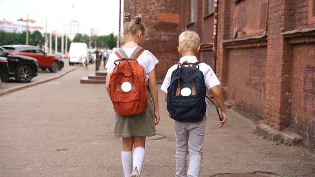 5088135-hd_1920_1080_25fps