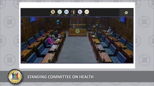Standing Committee on Health and Wellness, 2 June 2023, 09:00 смотреть онлайн