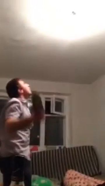 Муха достала... смотреть онлайн