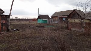 Купила дом в деревне, какие посадки я сделала первыми