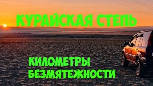 На авто по Чуйскому тракту. Республика Алтай. Курайская степь.