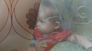 VID_20250331_113333 шторка .