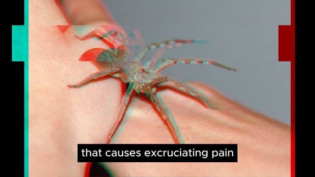 Let's take a look at the three scariest animals #animals #wild #alligator #horrorstories #facts смотреть онлайн