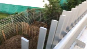 Машенька и козы в городском интерьере
