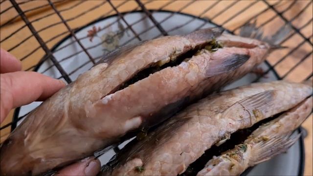 караси жареные на углях смотреть онлайн