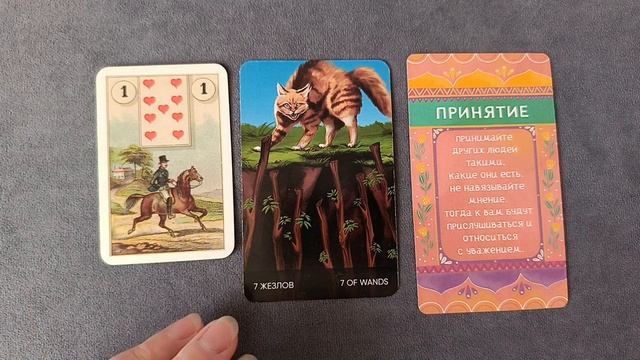 Совет на выходные 25 и 26 ноября