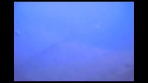 PADI Open Water Diver.mov
