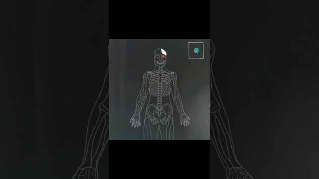 Выбор пояса для ездового спорта смотреть онлайн