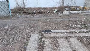 База в Аренду Тобольская