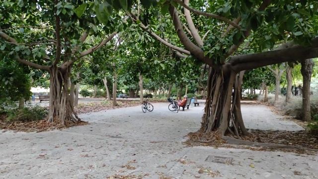 Βαλένθια το Ωκεανογραφικό Ακουαριουμ μοναδική εμπειρία смотреть онлайн