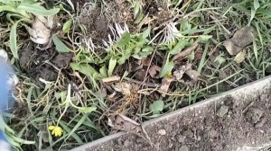 Осталась одна/Новый проект