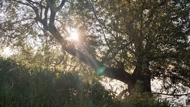 Выпуск №27 Короткий мах. Работа с грунтом смотреть онлайн