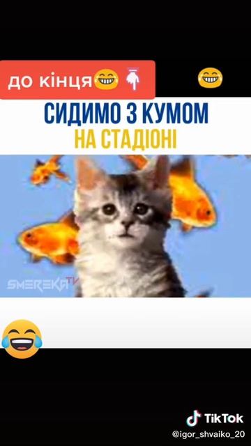 сидимо ми з кумом на стадіоні смотреть онлайн