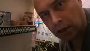 Что вы делаете в моём холодильнике вы хотите кушать