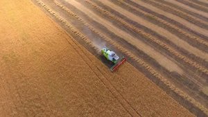 Комбайны CLAAS на уборке чечевицы/slow motion/