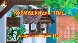 Кормушка для птиц своими руками как сделать пошагово  (160) 🪚🪛🔨 Идеи для дачи и сада❣️