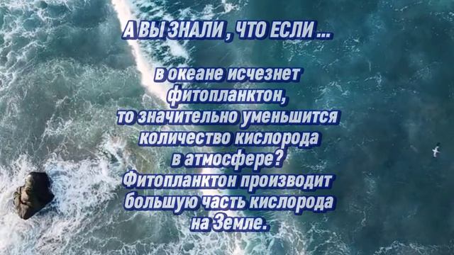 А вы знали, что если... смотреть онлайн