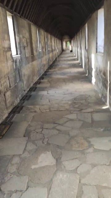 Венсенский замок #126 🏰 #short(5) смотреть онлайн