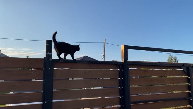 РАБОТА НА УЧАСТКЕ// ЗАКУПКА ПРОДУКТОВ// СТРОЙКА ПРОДОЛЖАЕТСЯ// ГОРОХОВЫЙ СУП// ДОМАШНИЕ ПЕЛЬМЕНИ смотреть онлайн